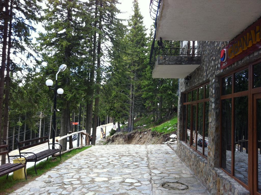 Cabana Haiducilor Рынка Экстерьер фото